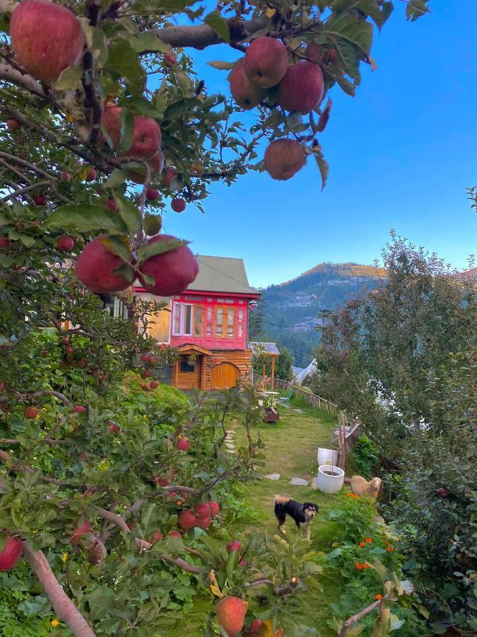 Meena Bagh Ratnari- An Apple Orchard Bungalow Bagi Exterior photo