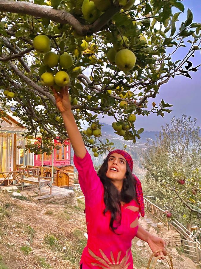 Meena Bagh Ratnari- An Apple Orchard Bungalow Bagi Exterior photo